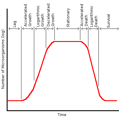 Description: Population growth curve.