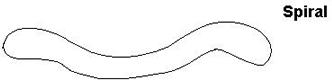 Description: Spirilla